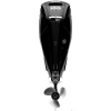 silnik zaburtowy Marcury F100 ELPT